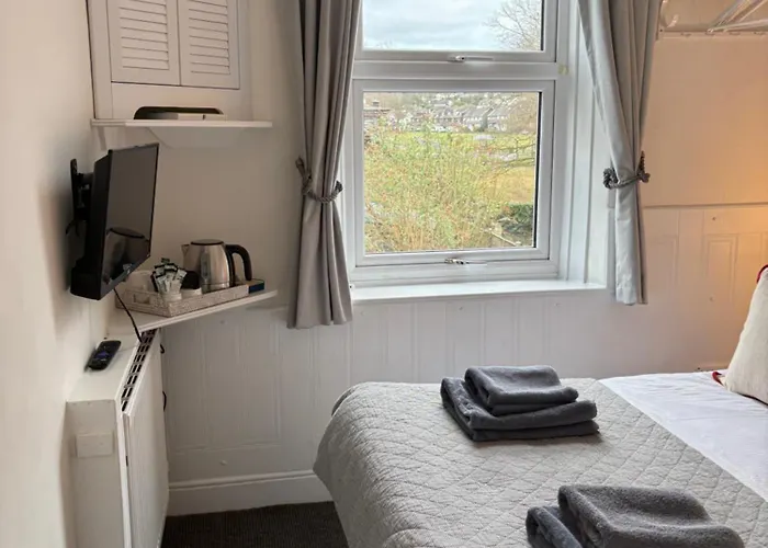 The Dozy Deer (adults Only)